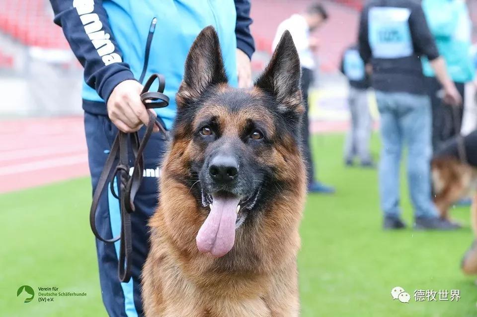 开云官方网页版-Faker新星出色防守表现突出，阿森纳前途光明！赛场气氛高涨-开云官方网页版